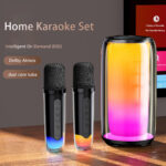 Surbort Karaoke Bluetooth Speaker, RGB Colorful Speaker, Smart AI Speaker, Microphone Speaker, Stereo Speaker, Wireless Bluetooth Speaker